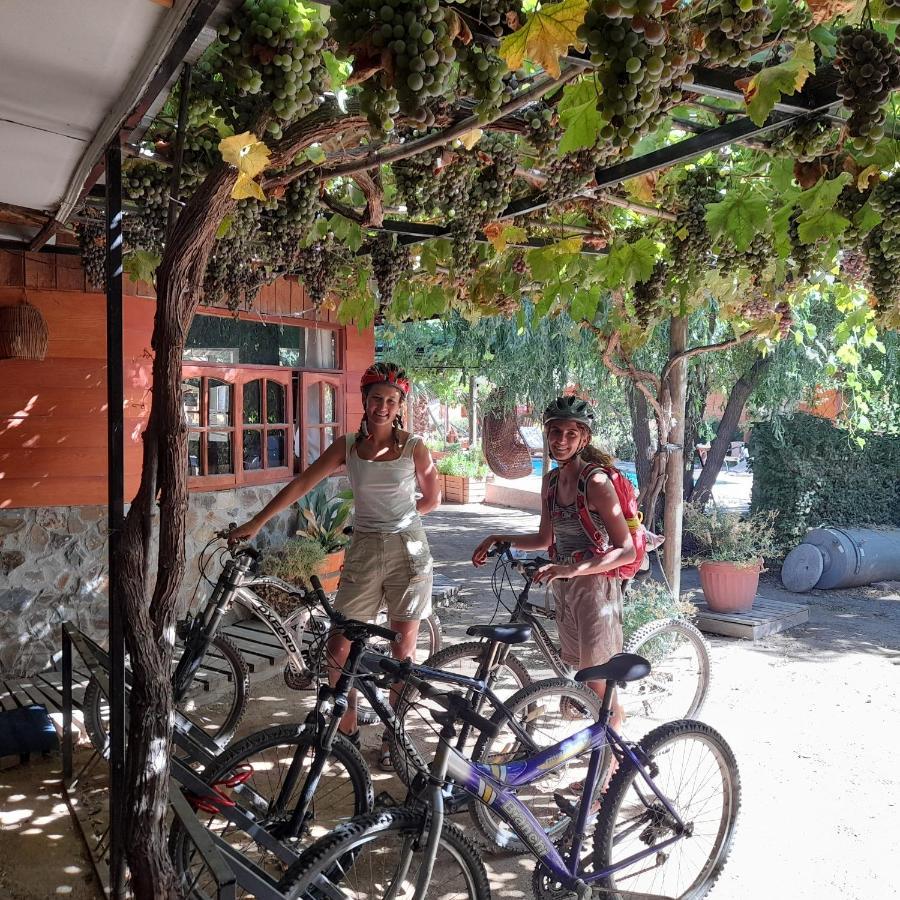Cabanas Refugio Nativo Santa Cruz Εξωτερικό φωτογραφία